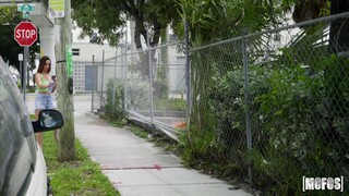 Green and Vine's Doggystyle Encounter - страстные шлюхи в HD BIGWHORE.COM