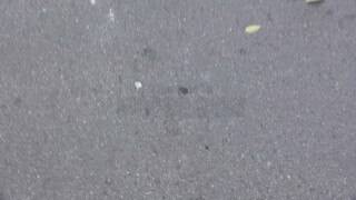 Naughty Backpacker Rina Ellis Does Street BJ - страстные шлюхи в HD BIGWHORE.COM