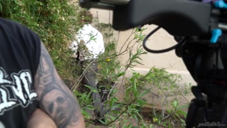 Michael Vegas Fucks Alison Rey Outdoors - BTS Feature - страстные шлюхи в HD BIGWHORE.COM