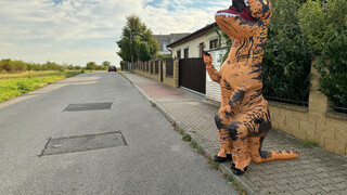 Czech Beauty Jennifer Seduces Sweaty Animator in Dino Costume - страстные шлюхи в HD BIGWHORE.COM