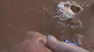 Amateur Audrey Royal - Shower Handjob from Brunette GF - страстные шлюхи в HD BIGWHORE.COM